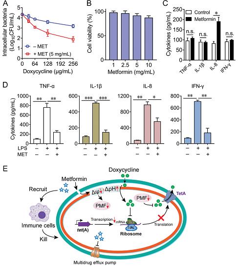 AllImg_5.jpg AllImg_5.jpg
