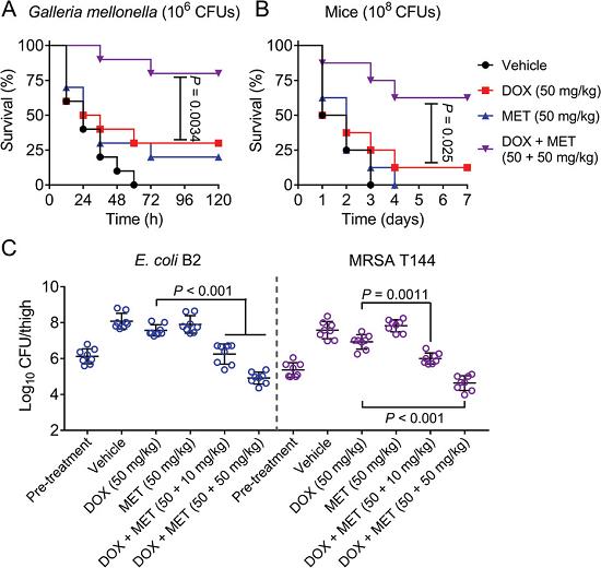 AllImg_6.jpg AllImg_6.jpg