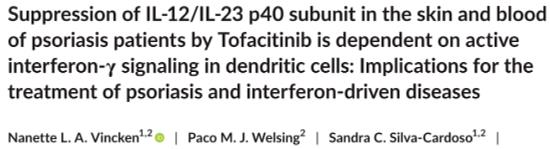 托法替尼对银屑病患者皮肤和血液中IL-12/IL-23 p40亚单位的抑制依赖于树突状细胞中活性干扰素-γ信号传导研究