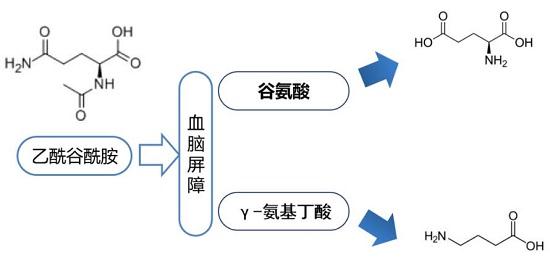 乙酰谷酰胺的作用与禁忌