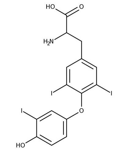 3,3',5-Triiodo-L-thyronine.jpg