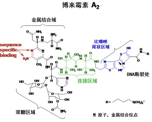 博来霉素 结构 博来霉素 结构