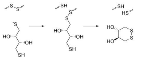 Dithiothreitol thiol-disulfide exchange reactions