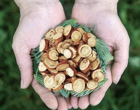 AllImg_10.jpg AllImg_10.jpg