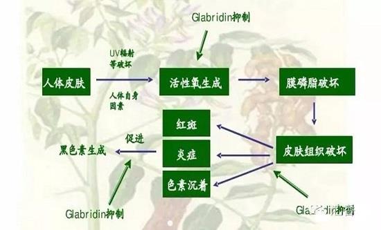 AllImg_16.jpg AllImg_16.jpg