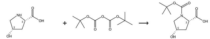 N-Boc-顺式-4-羟基-L-脯氨酸的合成路线