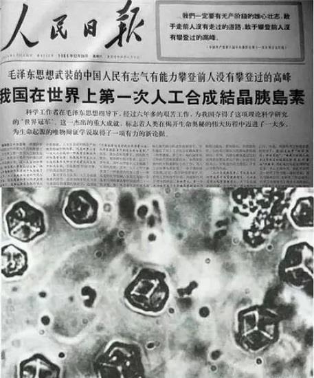 中国人工合成牛胰岛素结晶为何未获诺贝尔化学奖？
