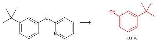 3-叔丁基苯酚的合成路线