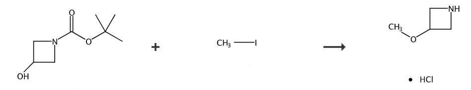3-甲氧基氮杂环丁烷盐酸盐的合成路线