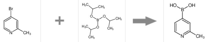 2-甲基-4-吡啶硼酸的制备