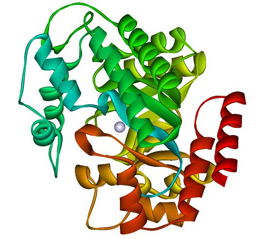 腺苷脱氨酶（ADA）的临床意义