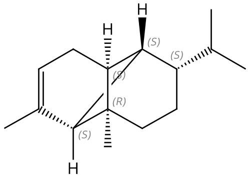 ALPHA-蒎烯的结构式