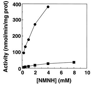 Reduction of t-NADP+ by NMNH catalyzed by wild-type and αD195E mutant transhydrogenases. The assays were carried out as described in Section 2. (?) wild-type; (■) αD195E.