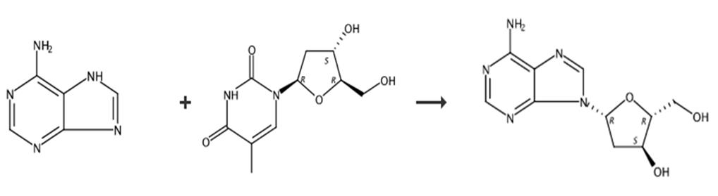 图2 2'-脱氧腺苷的合成路线[2]。