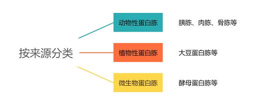 蛋白胨的分类.png 蛋白胨的分类.png