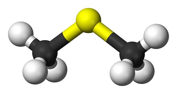 二甲基硫的性质与合成