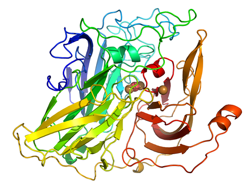 漆酶的催化机理与生化特性
