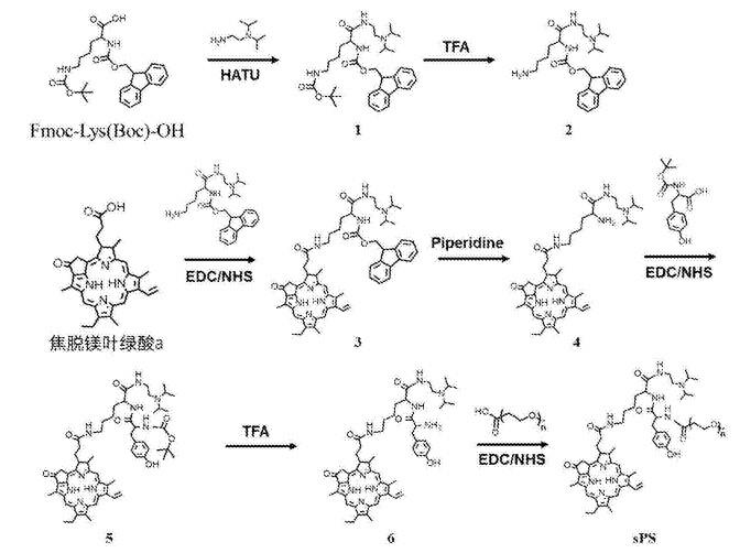 N-A1pha-芴甲氧羰基-N- Epsilon-叔丁氧羰基-L-赖氨酸为偶联剂制备纳米胶束.jpg
