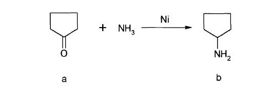 环戊酮的催化氨解合成环戊胺.jpg