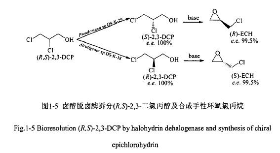 假单胞菌(Pseudomonas sp. OS-K-29)和产碱杆菌(Alcaligenes sp. DS-K-S38)，它们能拆分外消旋的2,3-二氯丙醇.jpg