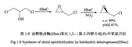 卤醇脱卤酶HheC，催化转化1,3-二氣丙醇，合成外消旋环氧氯丙烷.jpg