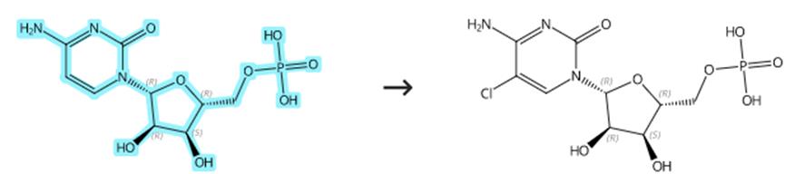 5'-胞苷酸的衍生化