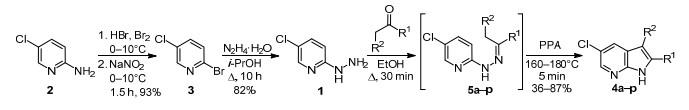 5-氯-7-氮唑酮的合成.jpg
