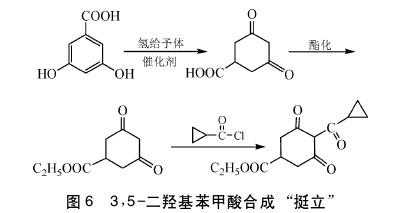3,5-二羟基苯甲酸合成“挺立’’.jpg