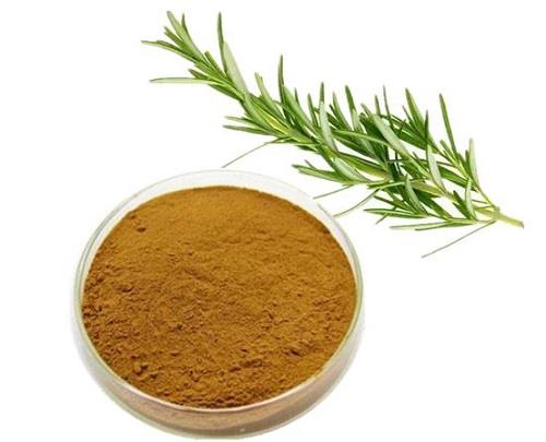 Rosmarinic Acid Powder