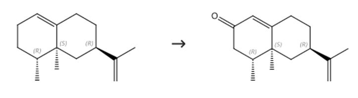 图3 圆柚酮的合成路线