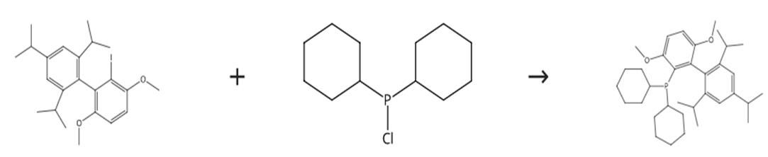 2-(二环己基膦)-3，6-二甲氧基-2'-4'-6'-三-I-丙基-11'-联苯的合成研究