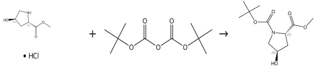 图2 N-Boc-反式-4-羟基-L-脯氨酸甲酯的制备路线