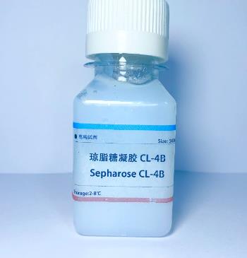胰蛋白酶-琼脂糖凝胶 4B.png