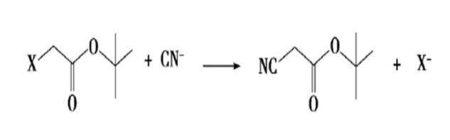 氰乙酸叔丁酯的合成路线