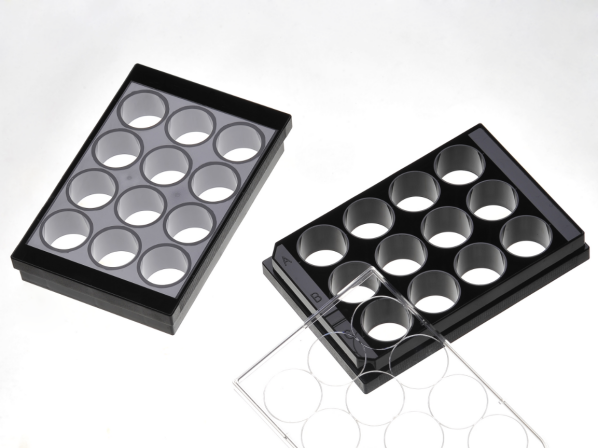 Φ20MM的6孔玻底培养板