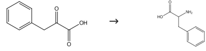 图1 DL-苯丙氨酸合成路线