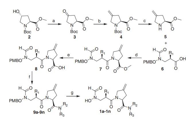 3-亚甲基吡咯烷甲酰羟基氨基衍生物的合成.jpg