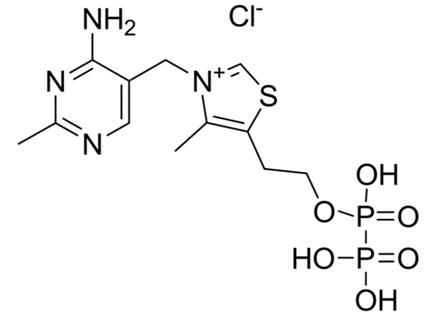 焦磷酸硫胺素的化学结构式