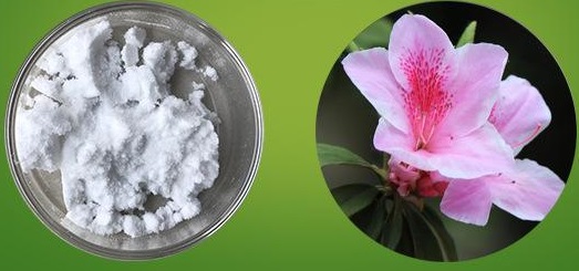 壬二酸便宜的和贵的有区别吗？深入解析壬二酸的生产过程