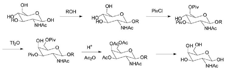2-乙酰胺基-2-脱氧-D-半乳糖的的合成.png