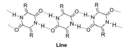 2,5-二酮哌嗪形成氢键.jpg