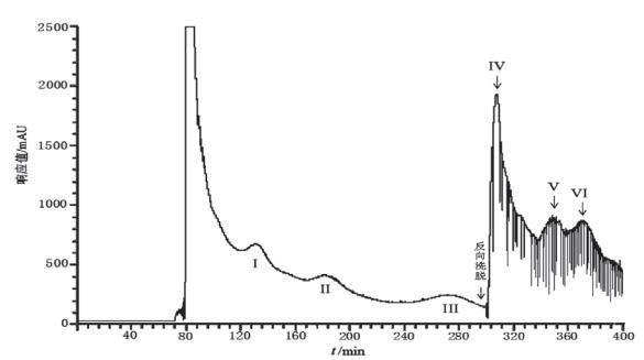 图2 葡萄籽提取物原花青素B2 HSCCC色谱图