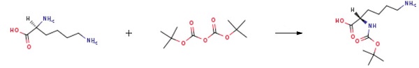 N-alpha-(tert-Butoxycarbonyl)-L-lysine N-alpha-(tert-Butoxycarbonyl)-L-lysine