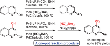 DPPF二氯化钯催化合成2-芳基化吡啶衍生物