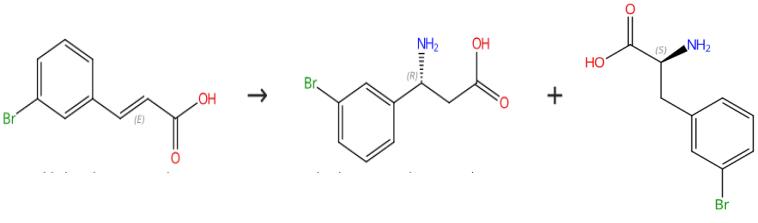 图2 L-3-溴苯丙氨酸的合成路线
