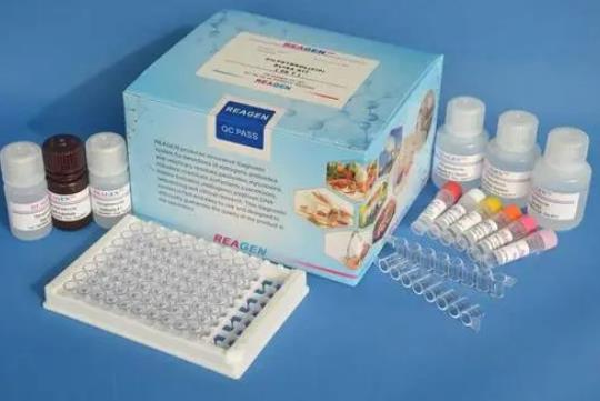 田鼠布鲁氏菌PCR试剂盒.png