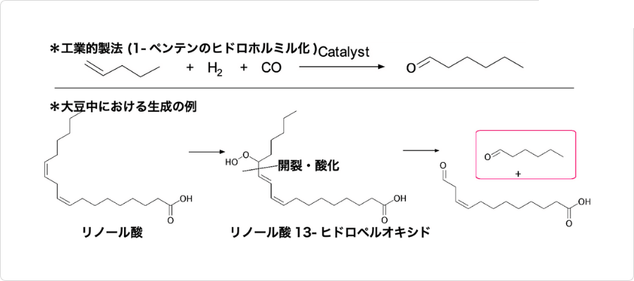 説明図