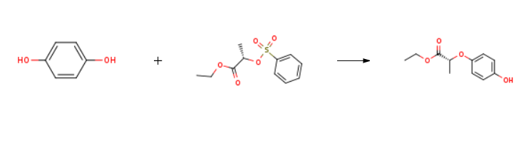 Ethyl (R)-(+)-2-(4-hydroxyphenoxy)propionate synthesis Ethyl (R)-(+)-2-(4-hydroxyphenoxy)propionate synthesis