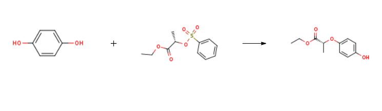 Ethyl (R)-(+)-2-(4-hydroxyphenoxy)propionate synthesis