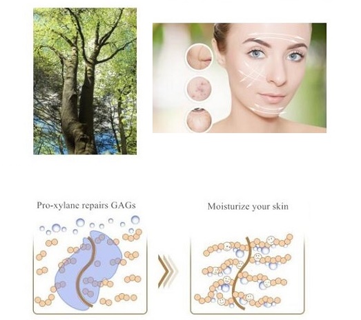 Anti-aging substances: pro-xylane and Retinol Anti-aging substances: pro-xylane and Retinol